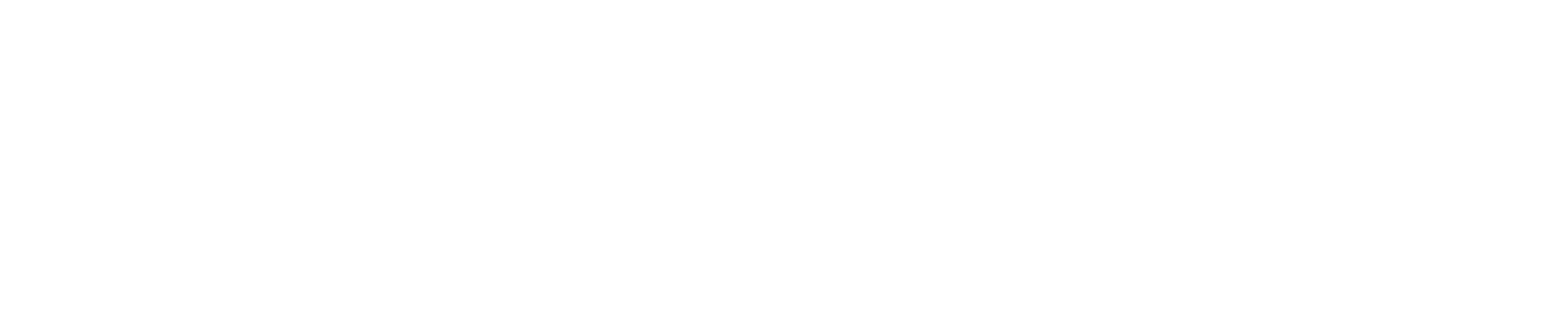 SHADOW GM